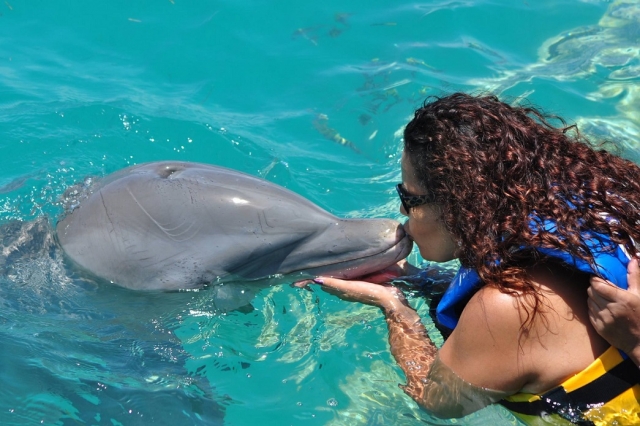 beso de delfin